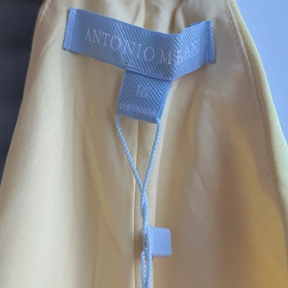 🆕🌼 Antonio Melani Darah Satin Butter Yellow Maxi Dress Size 16 Formal Gown Chic - Picture 14 of 17